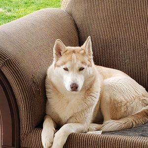 Meet your Posher, Martha